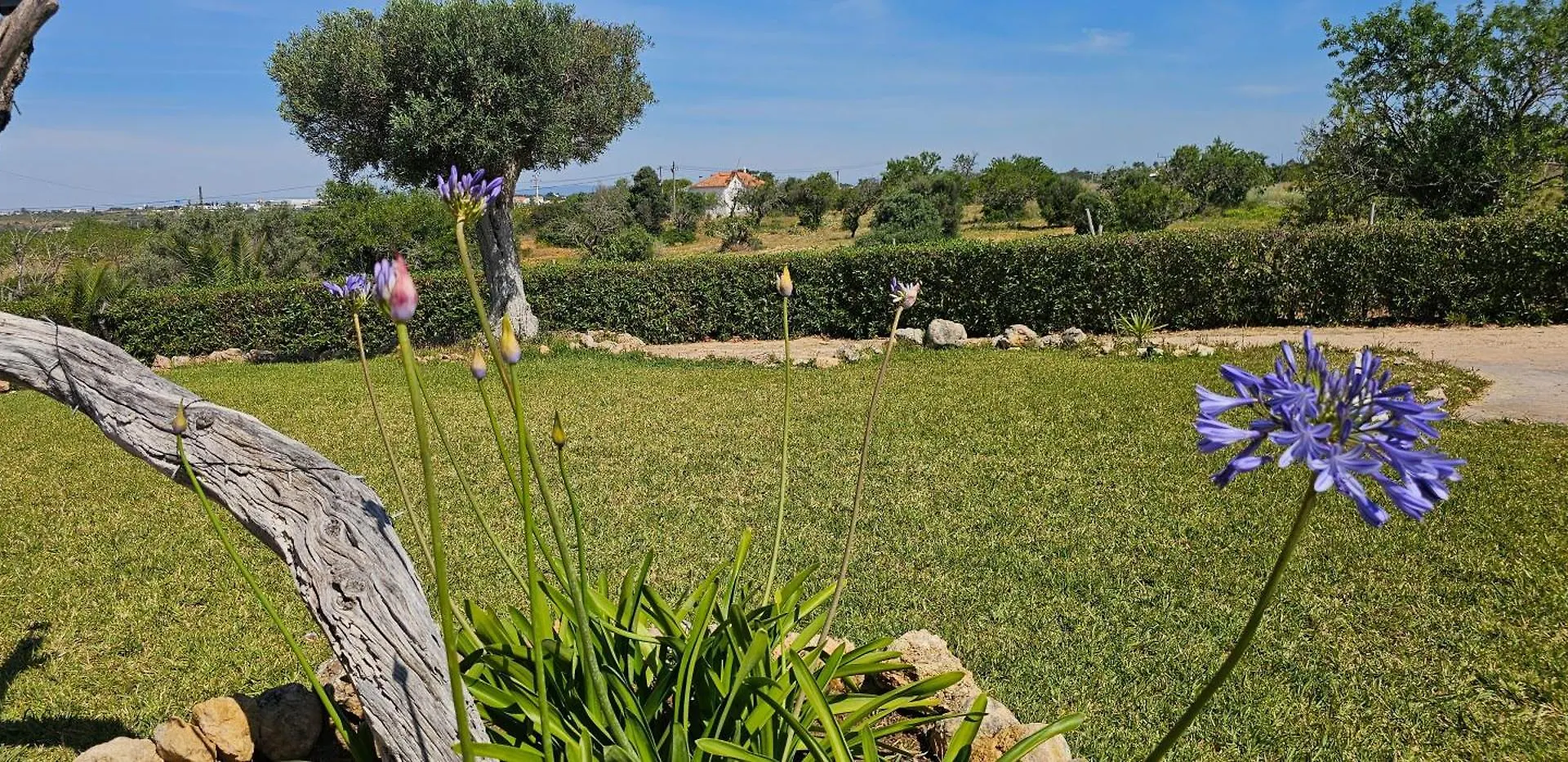 Quinta Do Lagar Villa Albufeira Holiday home